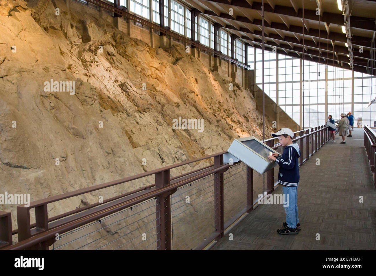 Jensen, Utah A boy views dinosaur bones in the Quarry Exhibit Hall at