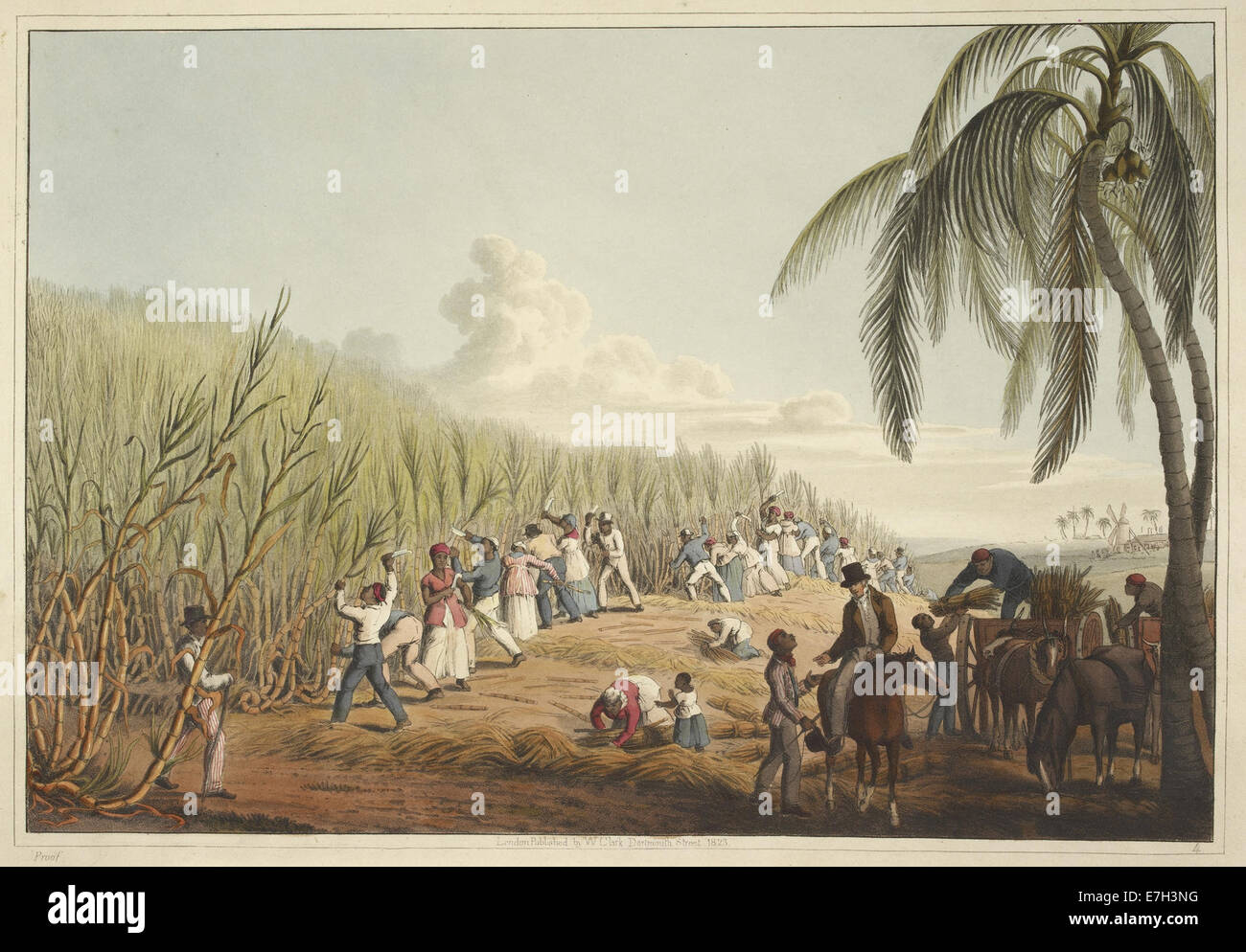 Slaves cutting the sugar cane - Ten Views in the Island of Antigua (1823), plate IV - BL Stock Photo