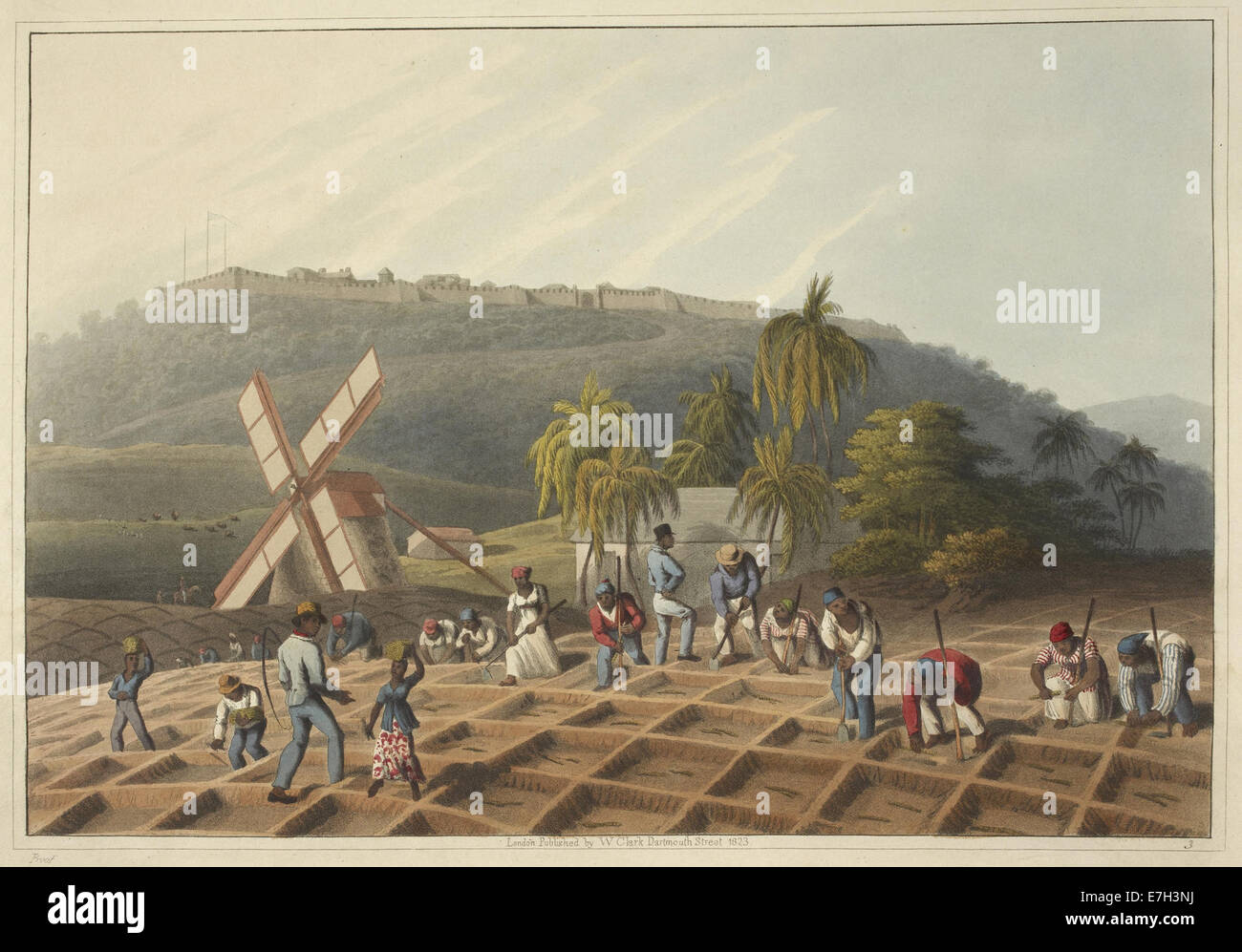 Slaves working on a plantation - Ten Views in the Island of Antigua (1823), plate III - BL Stock Photo