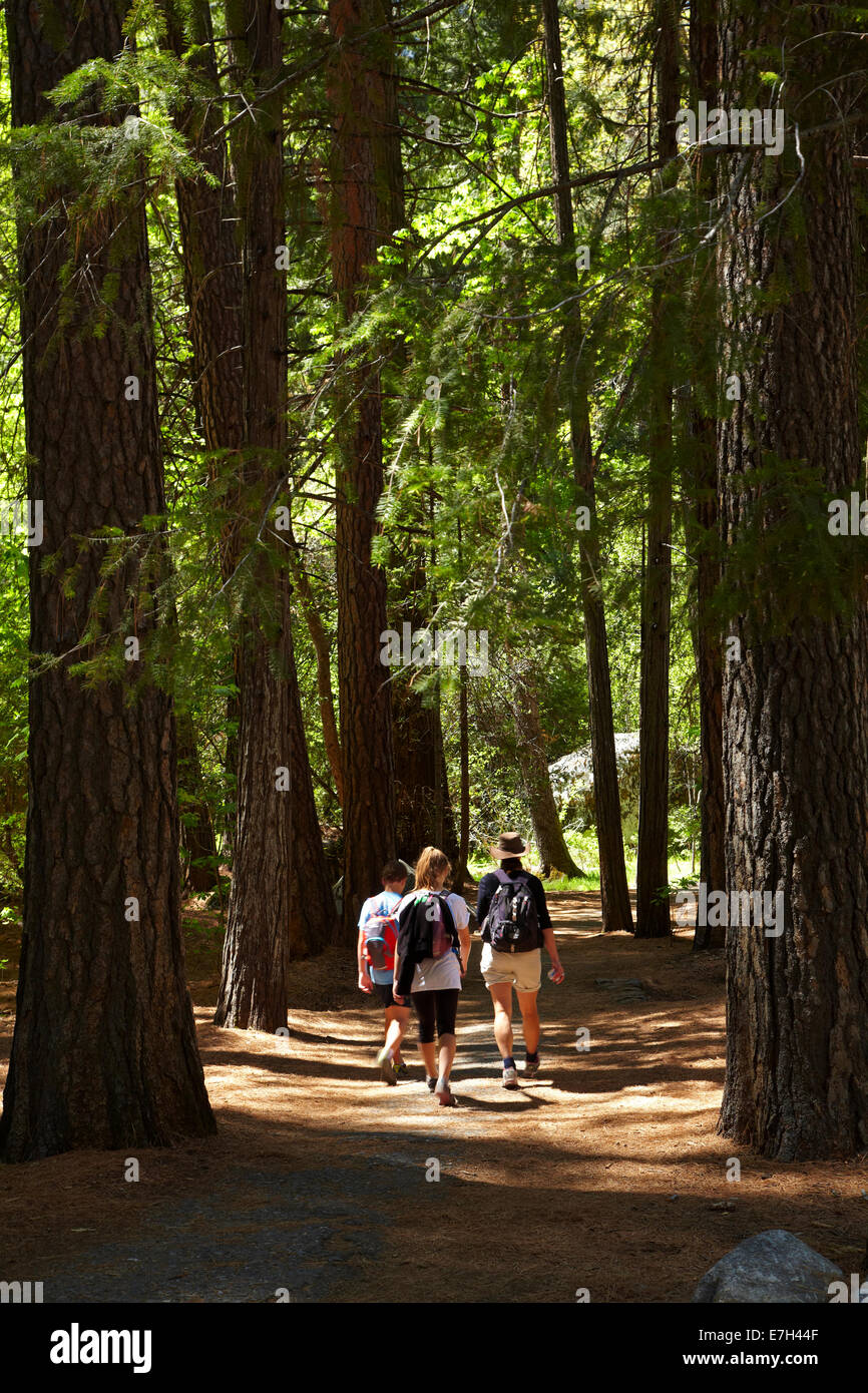 Family on walking track near Camp Curry and Upper Pines Campground, Yosemite Valley, Yosemite National Park, California, USA Stock Photo