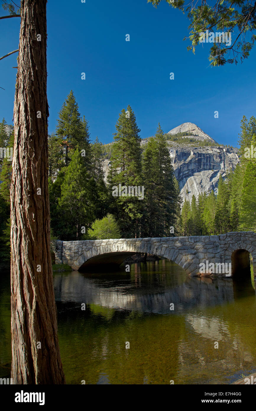 Bridge river yosemite national park hires stock photography and images