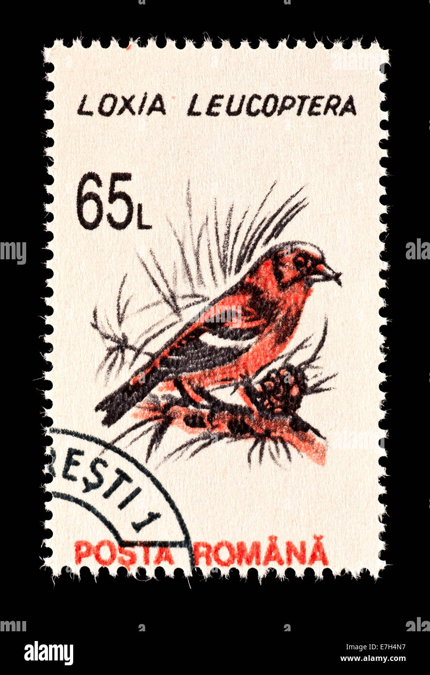 Postage stamp from Romania depicting two-barred crossbill (Loxia leucoptera) Stock Photo