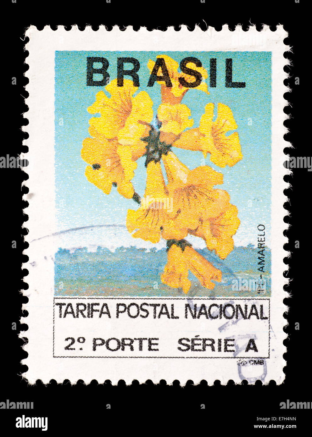 Postage stamp from Brazil depicting yellow amaryllis flowers. Stock Photo