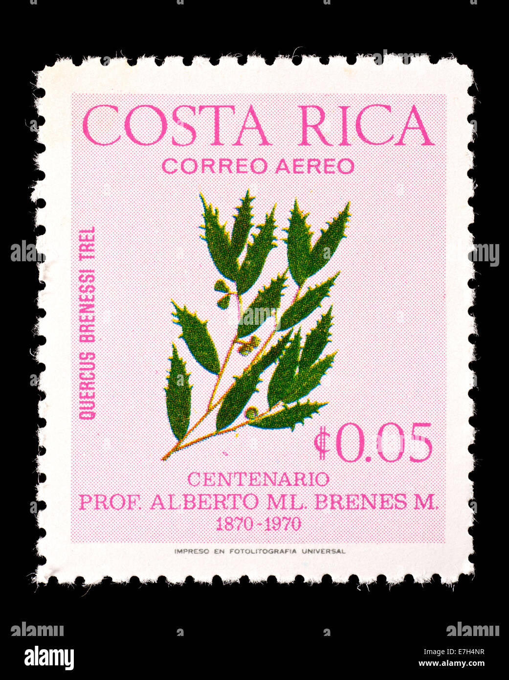 Postage stamp from Costa Rica depicting jungle plant, Quercus brenessi