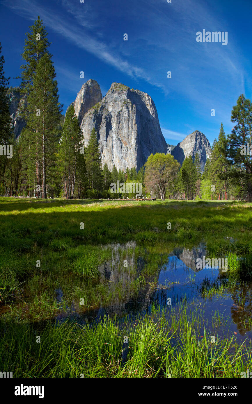 Cathedral Rocks reflected in a pond in Yosemite Valley, Yosemite National Park, California, USA Stock Photo