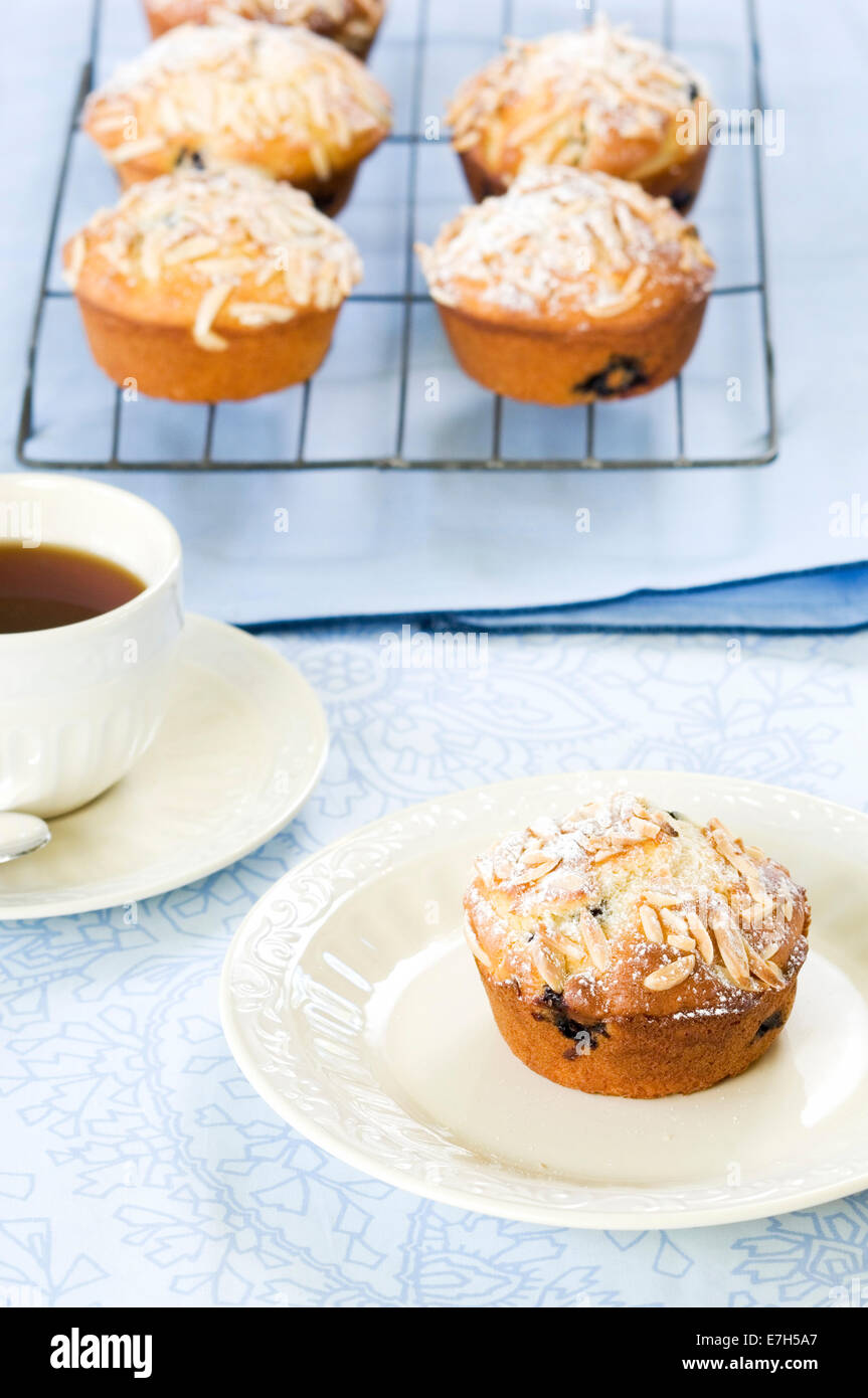 A muffin on a plate in front of other muffins and a cup of coffee. Stock Photo