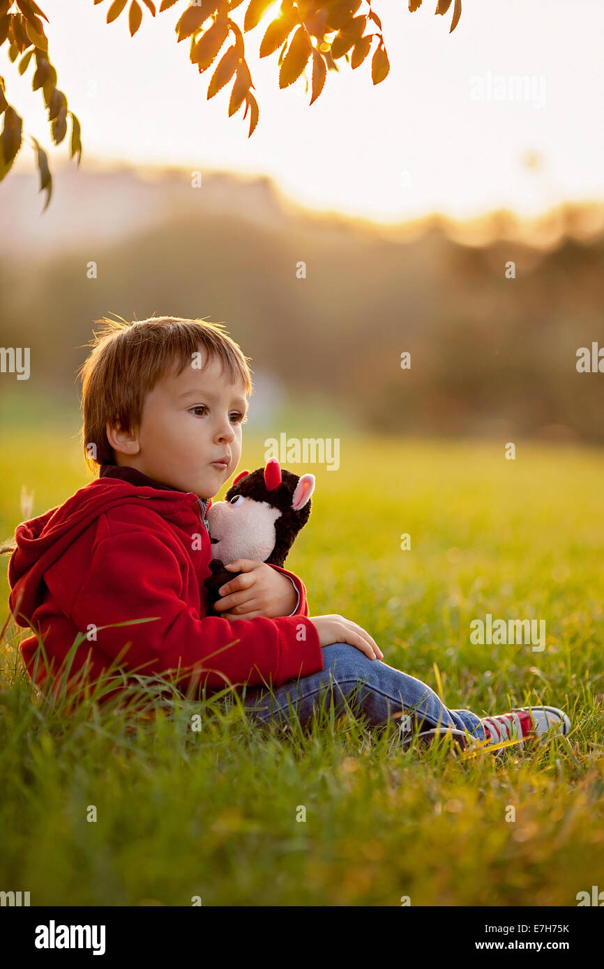 Adorable boy with his teddy friend, sitting on a lawn, sunset time ...