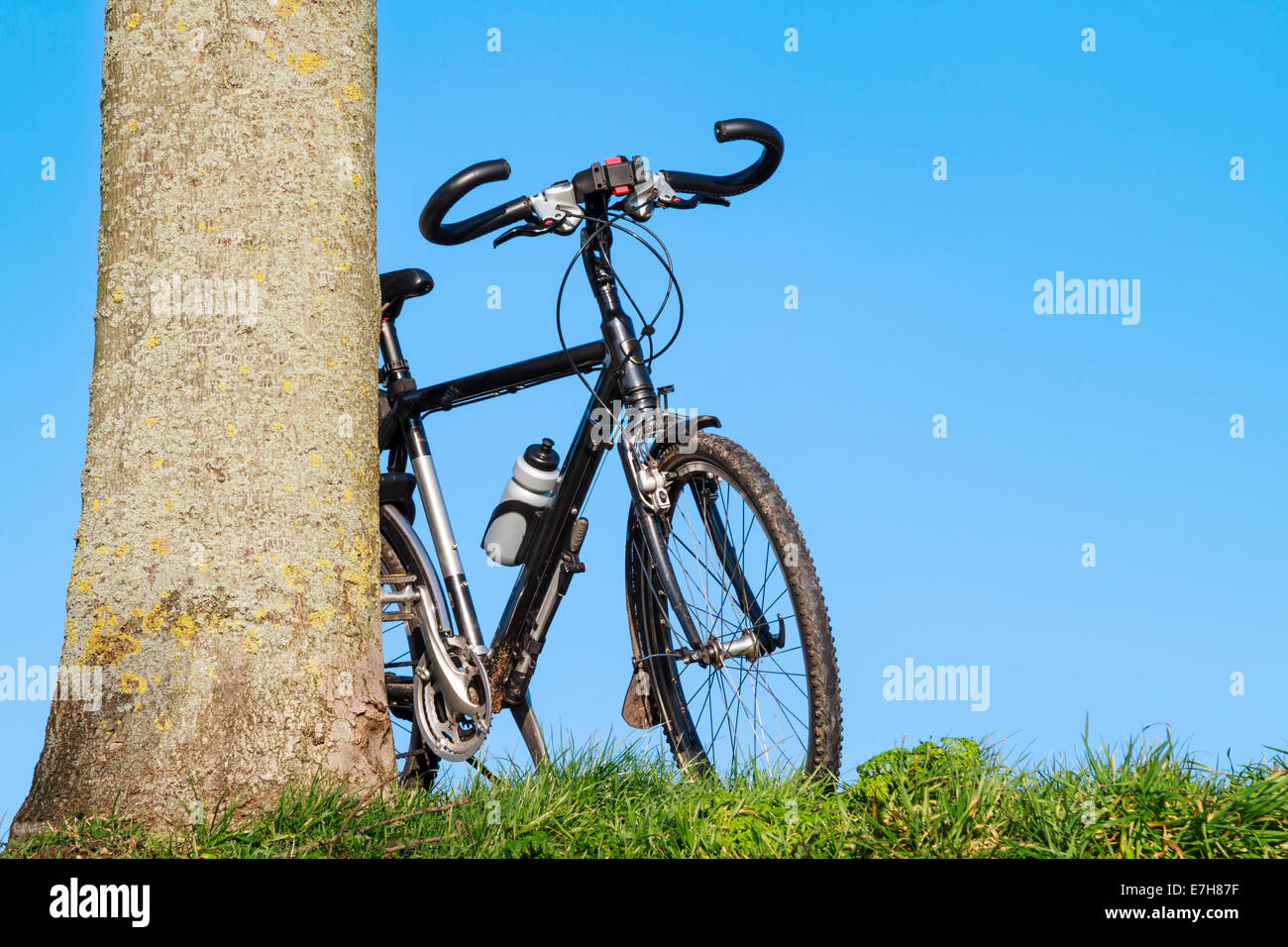 Trekking bike leaning against a tree with blue sky background Stock Photo -  Alamy