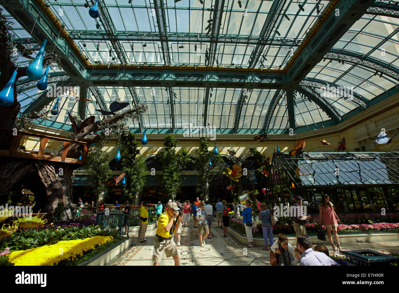 Flowers in Conservatory & Botanical Gardens, Bellagio, Las Vegas