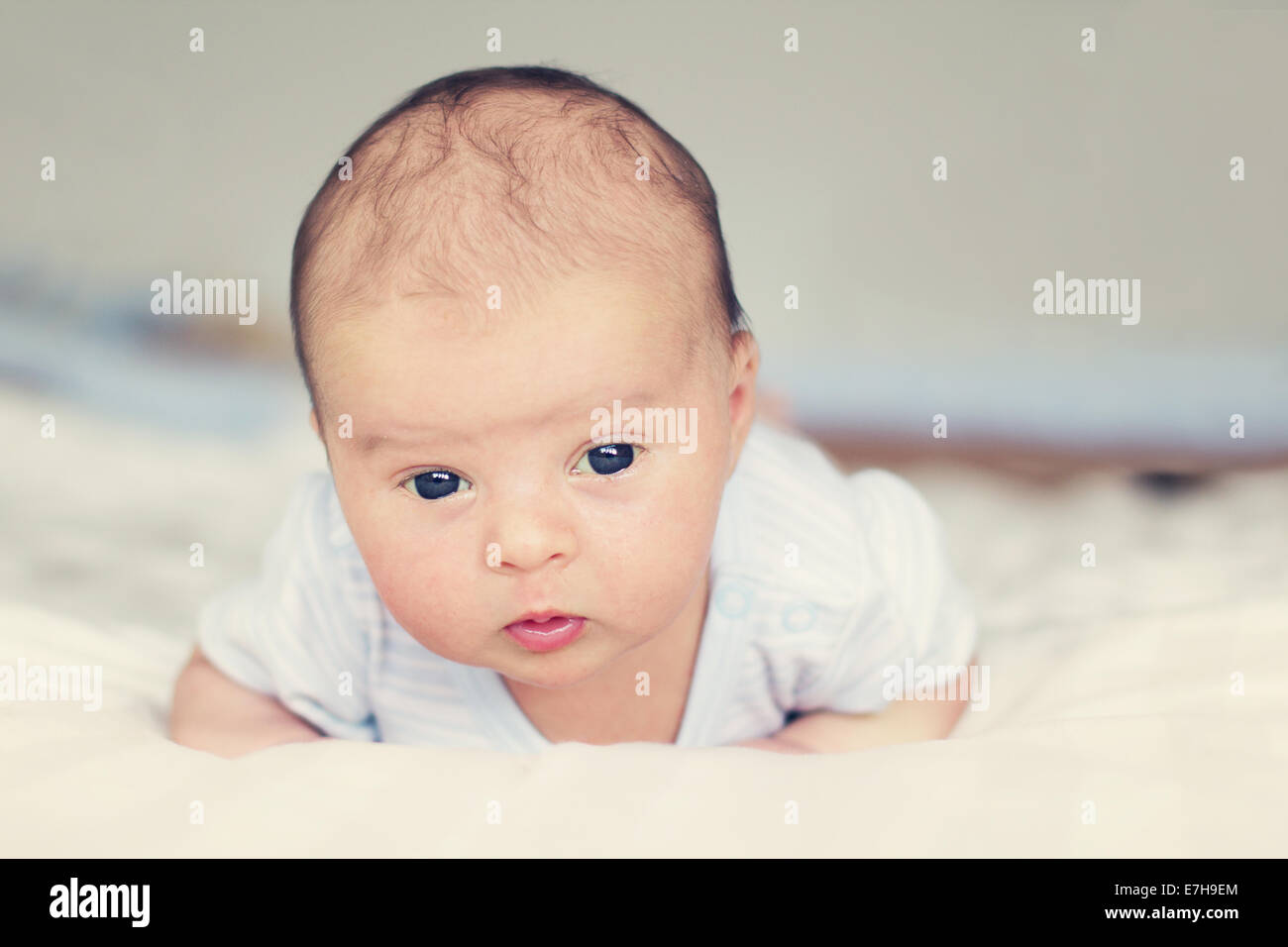 Portrait of a baby boy Stock Photo - Alamy