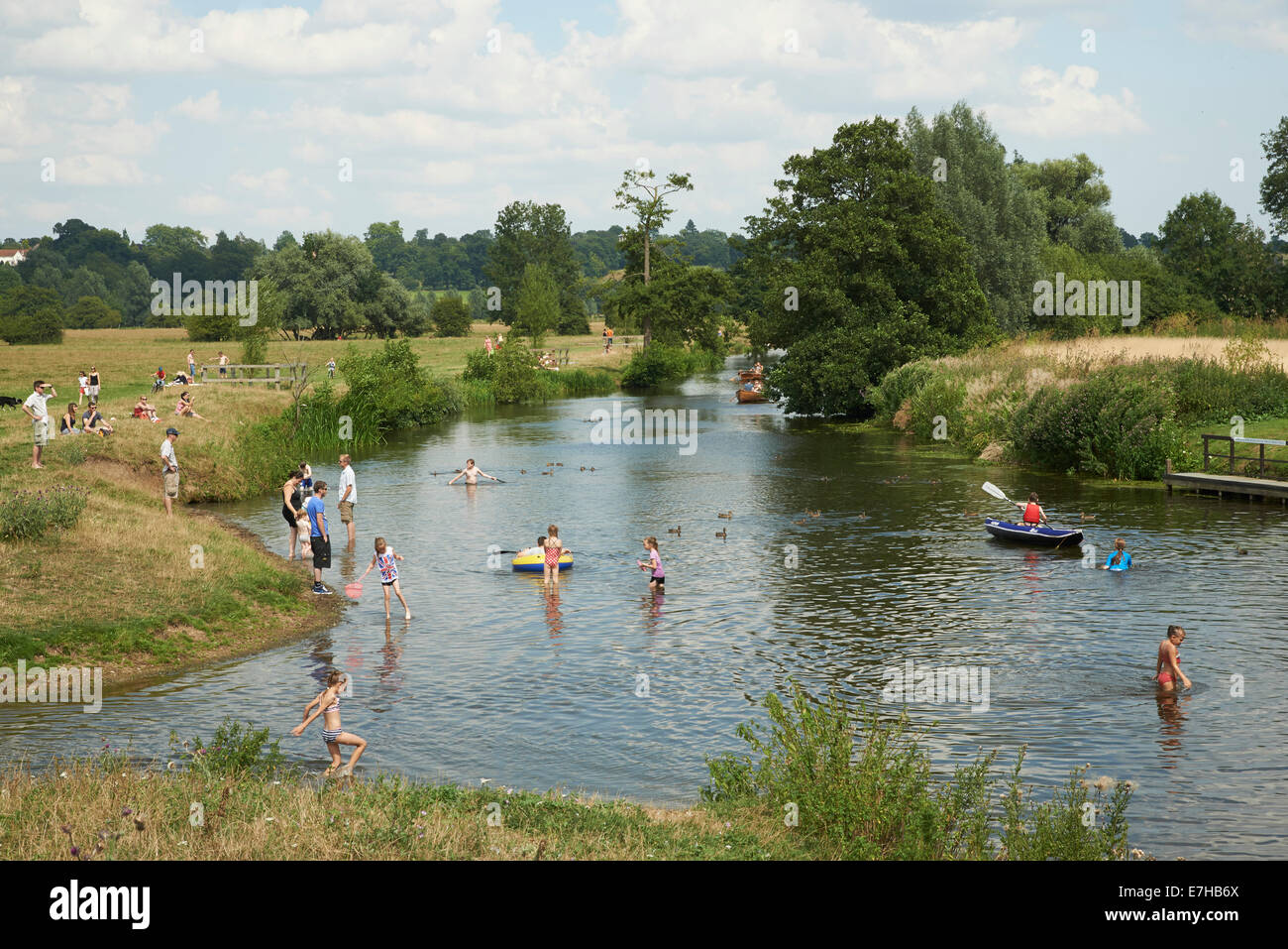 Swimming in the river Stour Dedham Stock Photo Alamy