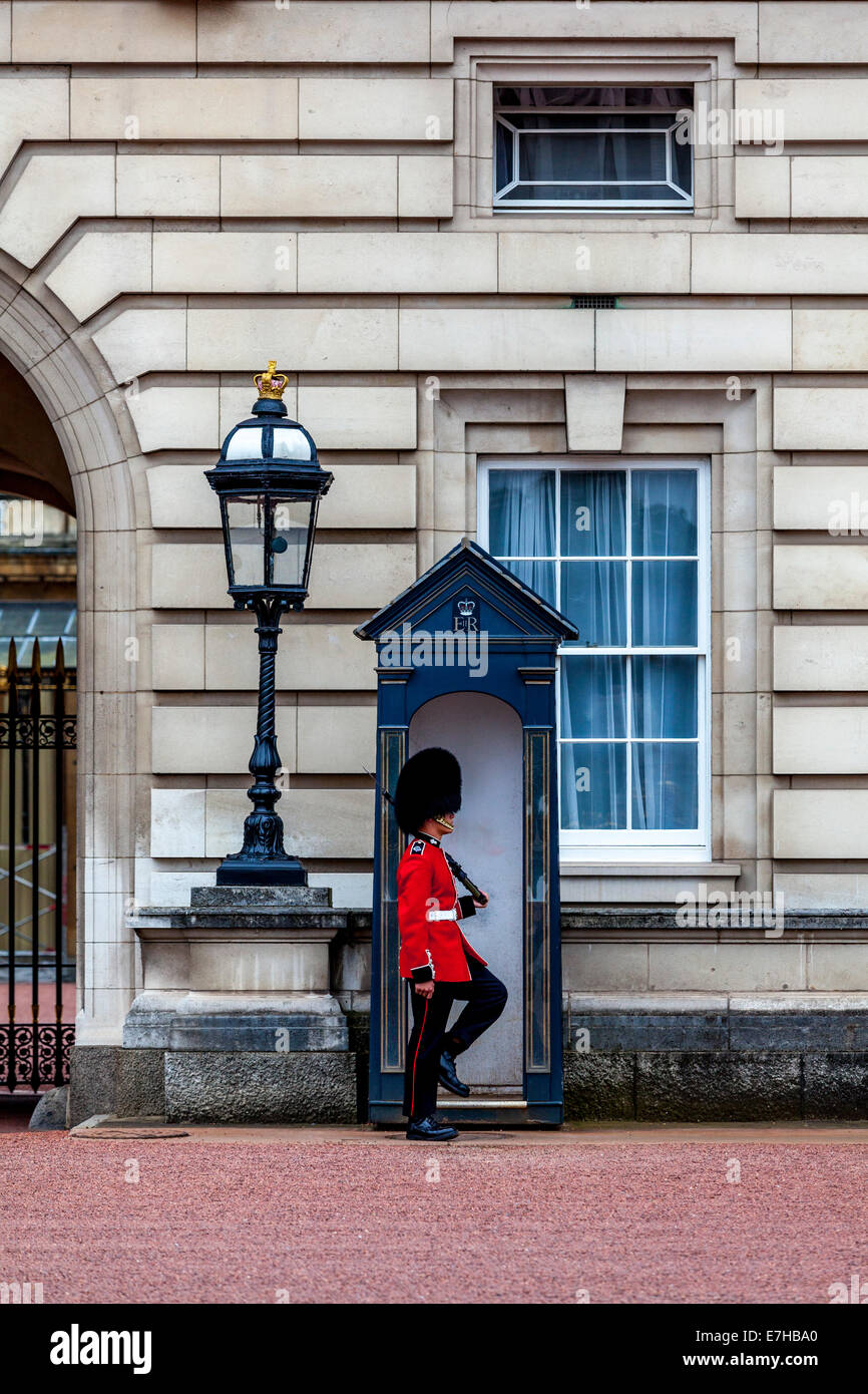 Palace Guard, Buckingham Palace, London, England Stock Photo