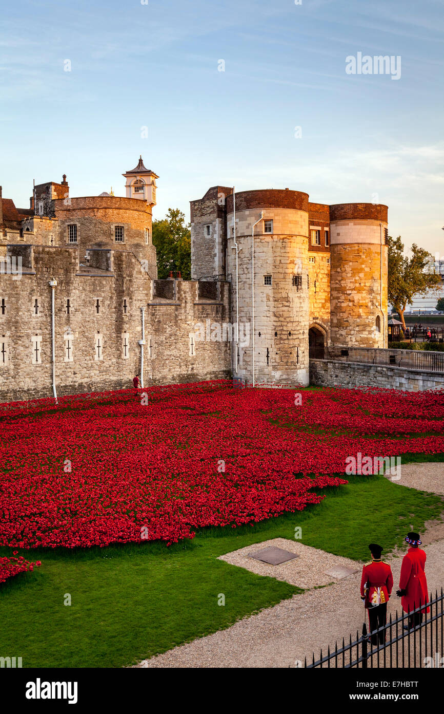 A Soldier and Beefeater Look At The Poppy Display at The Tower of London, london, England Stock Photo