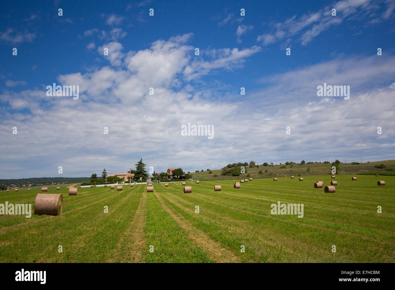 Summer rural landscape with a field and haystacks Stock Photo - Alamy