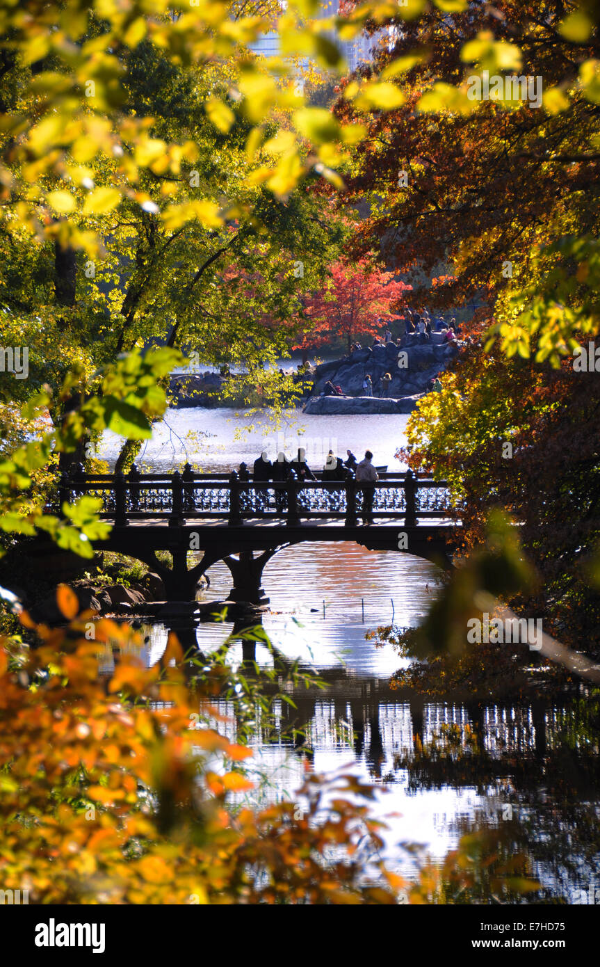 Fall in Central Park Stock Photo
