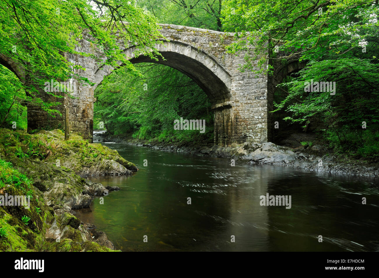 Holne Bridge over the River Dart, Dartmoor Stock Photo Alamy