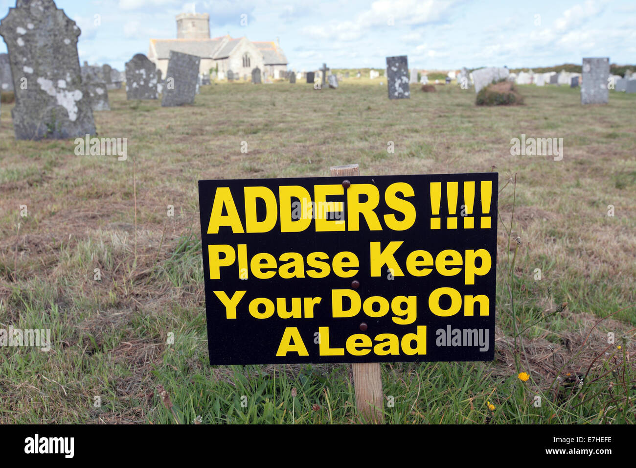 Warning sign, 'Adders!!! Please keep dogs on lead', Tintagel, Cornwall, UK Stock Photo
