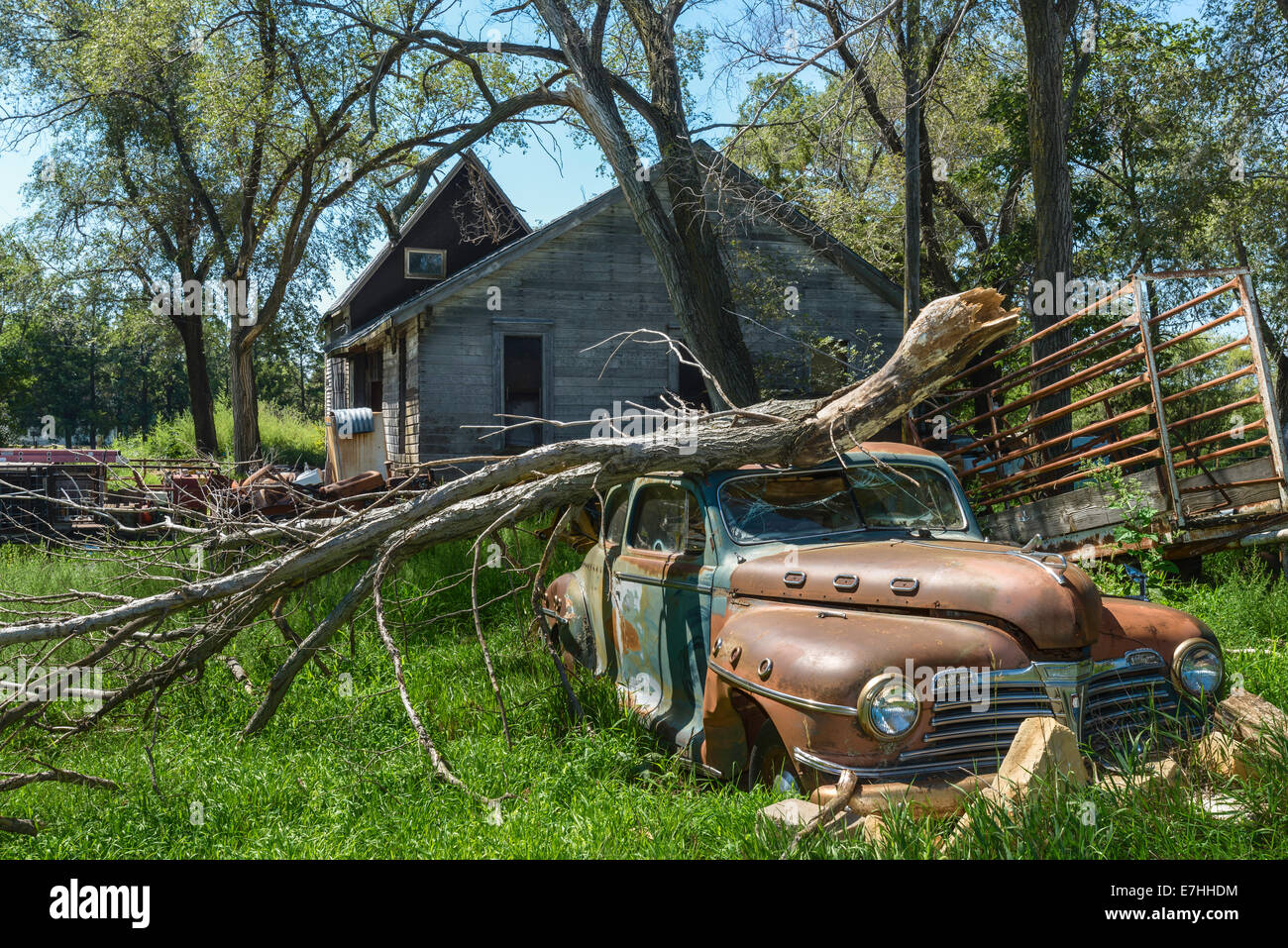Derelict car and house with storm damaged tree in overgrown vegetation near Haigler, Nebraska