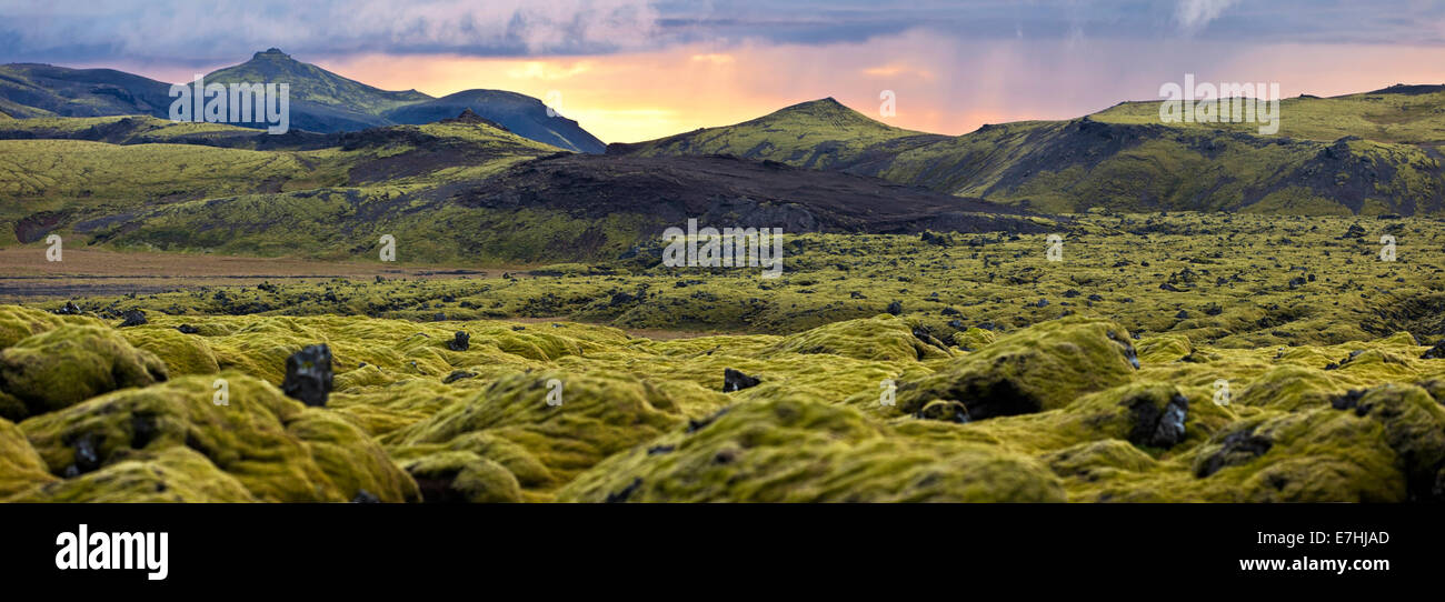 Surreal landscape with wooly moss of Iceland. Stock Photo