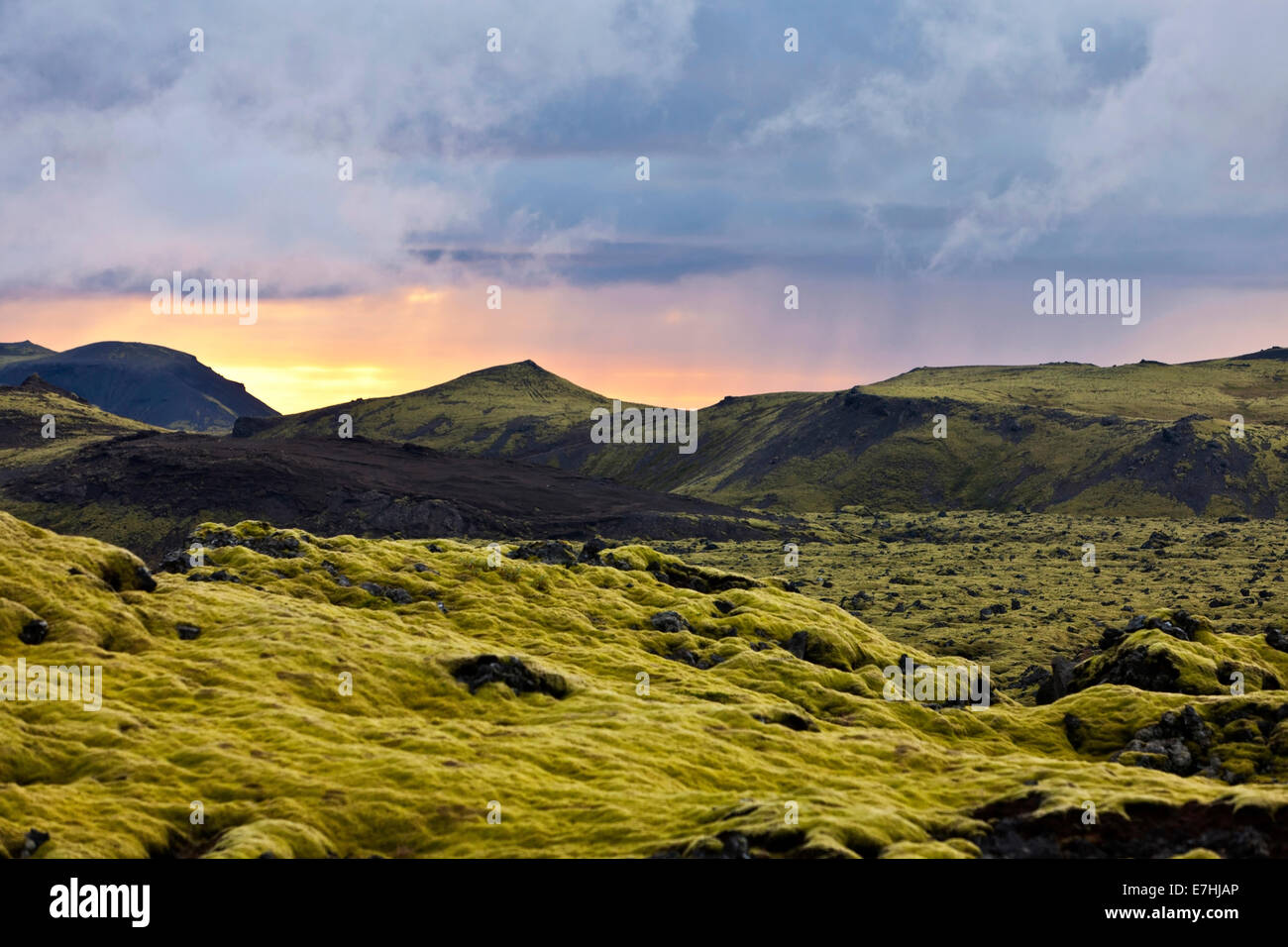 Surreal landscape with wooly moss of Iceland. Stock Photo