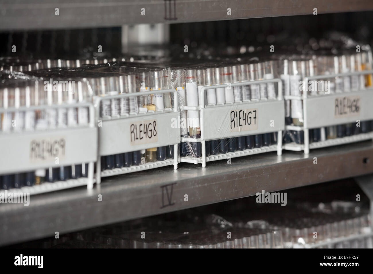 Racks Of Test Tubes On Shelf Stock Photo