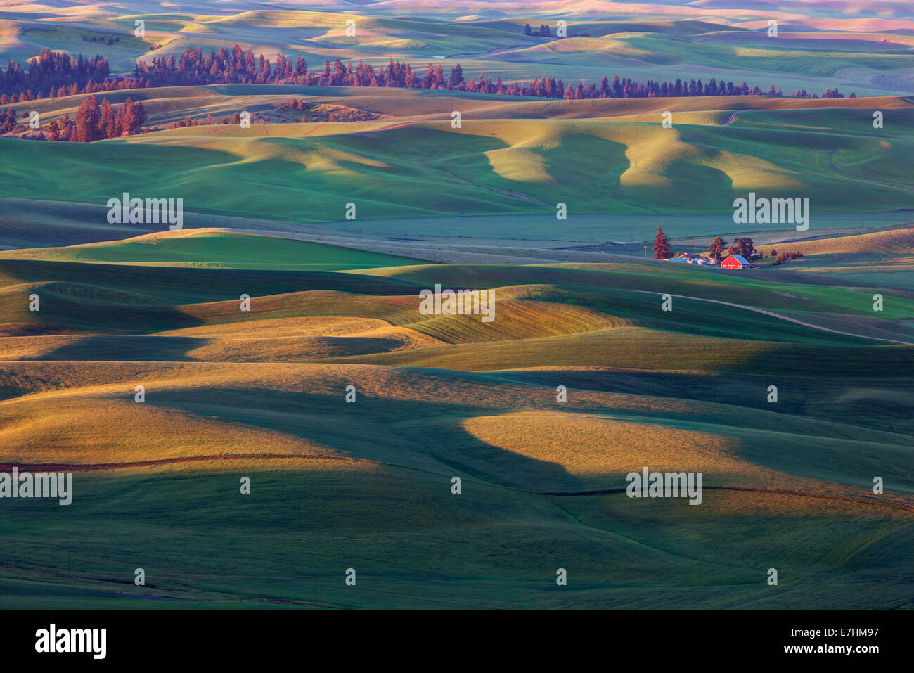 Farmland in the Palouse region of Washington State, view from Steptoe Butte State Park, USA Stock Photo