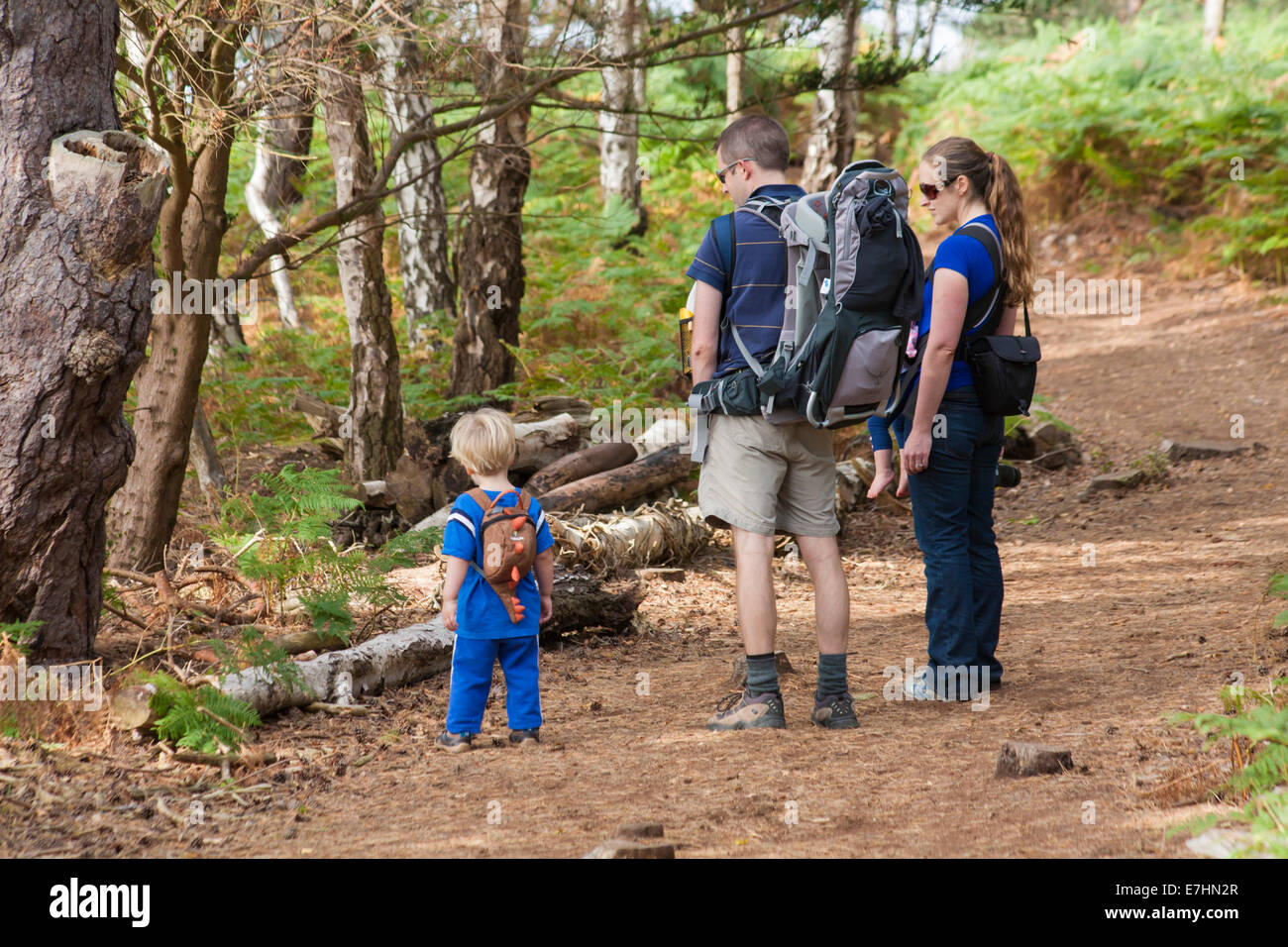 Family enjoying a walk in woodlands in September Stock Photo - Alamy