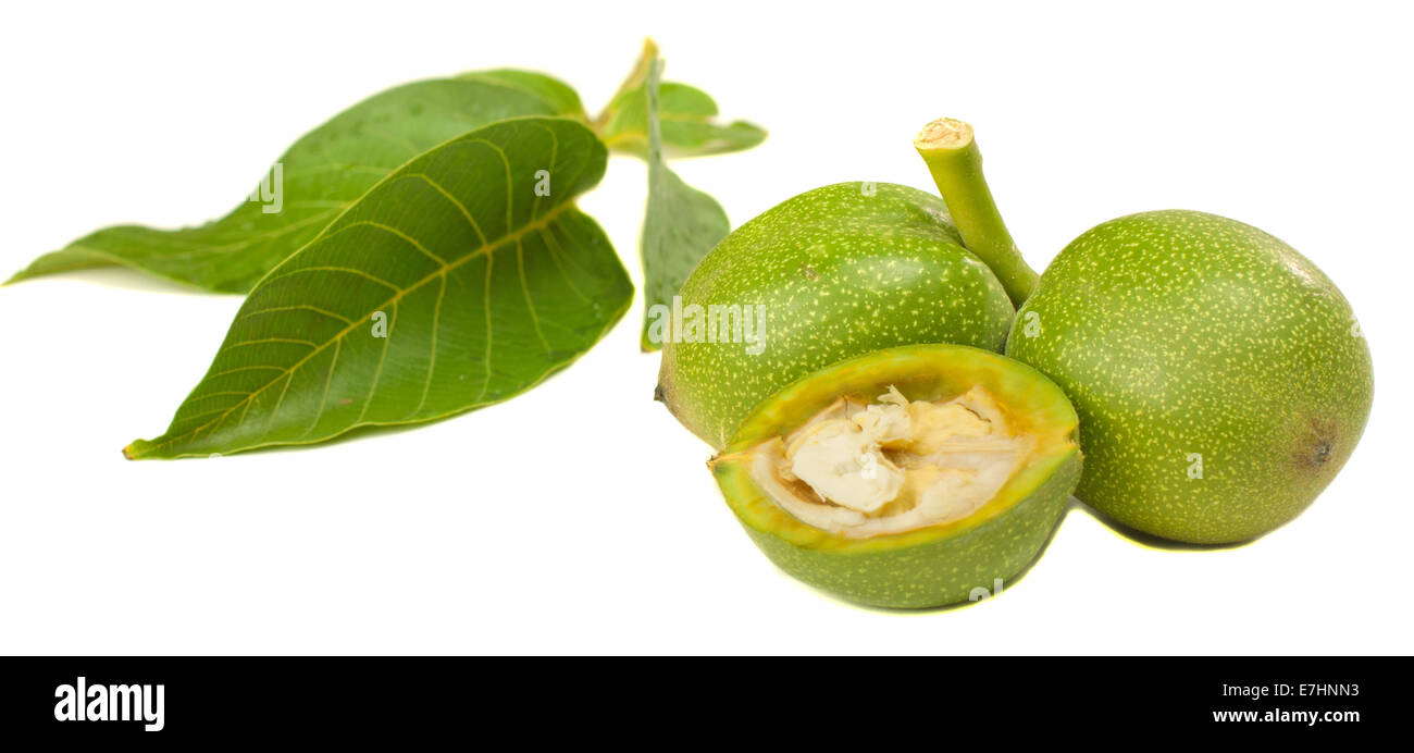 Walnut with leaves isolated over white background Stock Photo
