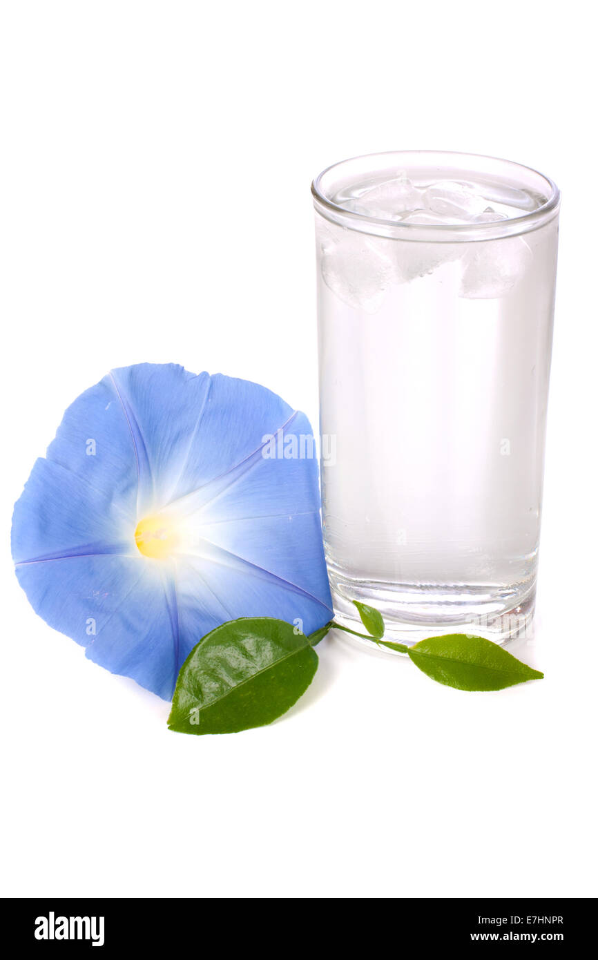 Glass of water with flowers on white background Stock Photo