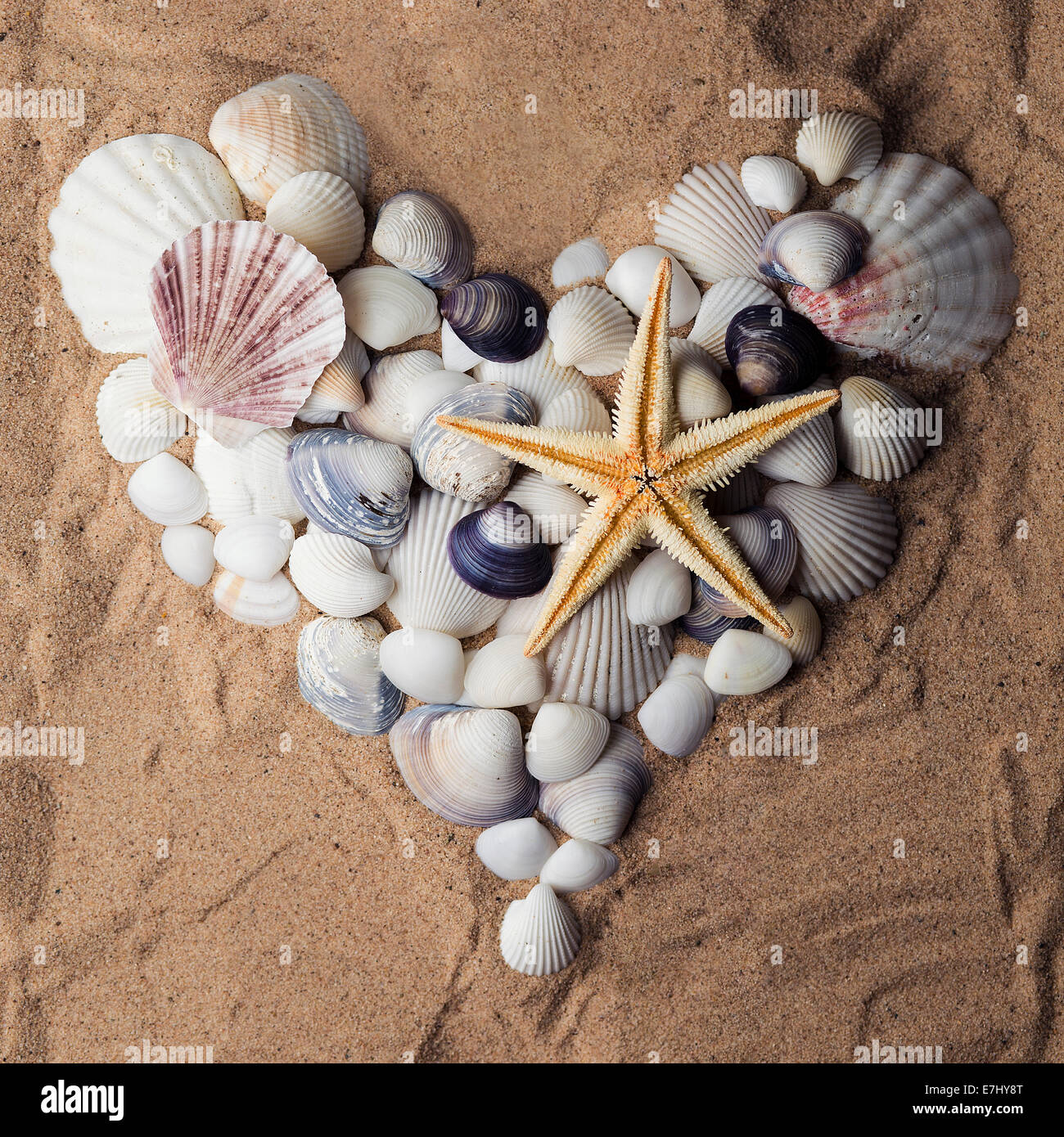A heart made out of seashells Stock Photo