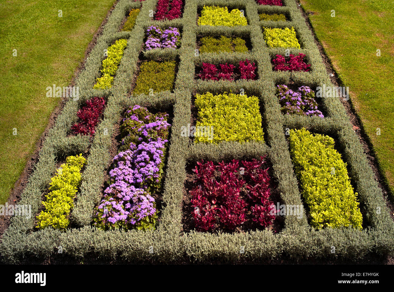 Pattern of small knot garden Stock Photo