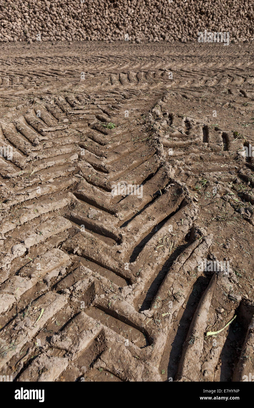 Wheel prints tractor tracks imprint to soil Stock Photo
