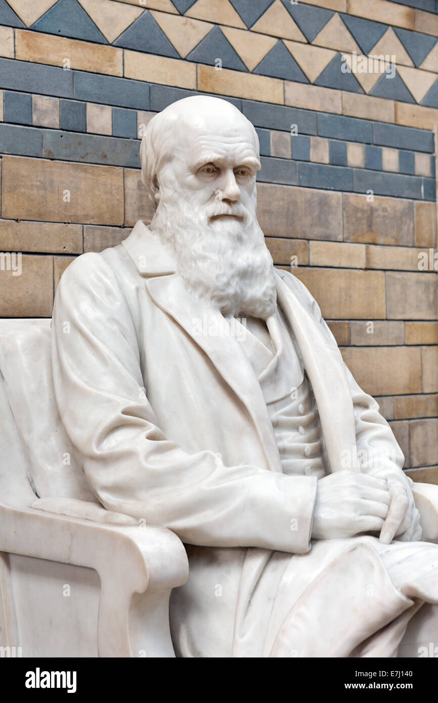 Charles Darwin statue in The Natural History Museum, London. Stock Photo