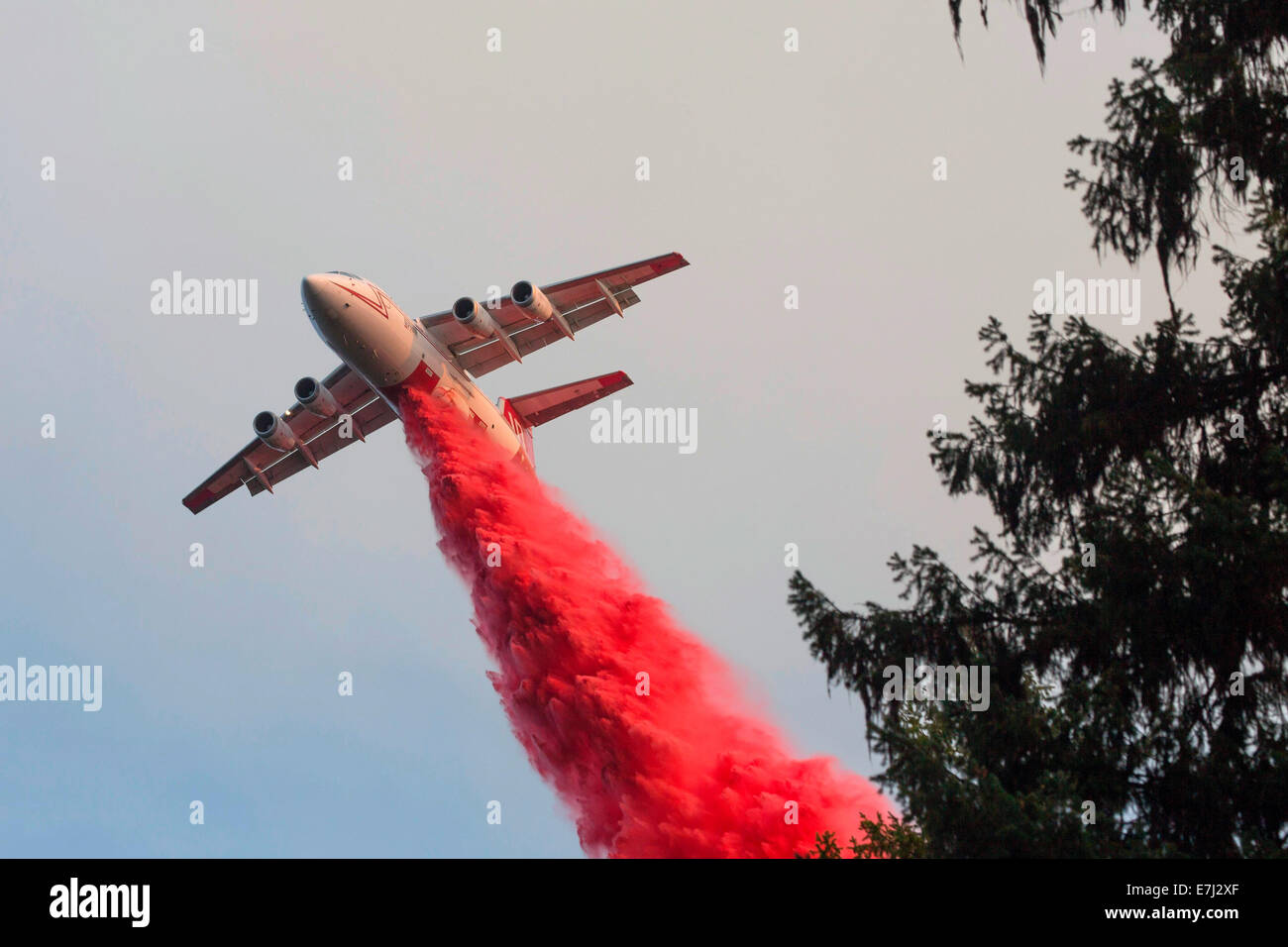 A BAE 146 air tanker drops fire retardant on the Happy Camp Complex Fire burning in the Klamath National Forest September 18, 2014 in Yreka, California. The fire has consumed 125,788 acres and is 68% contained. Stock Photo