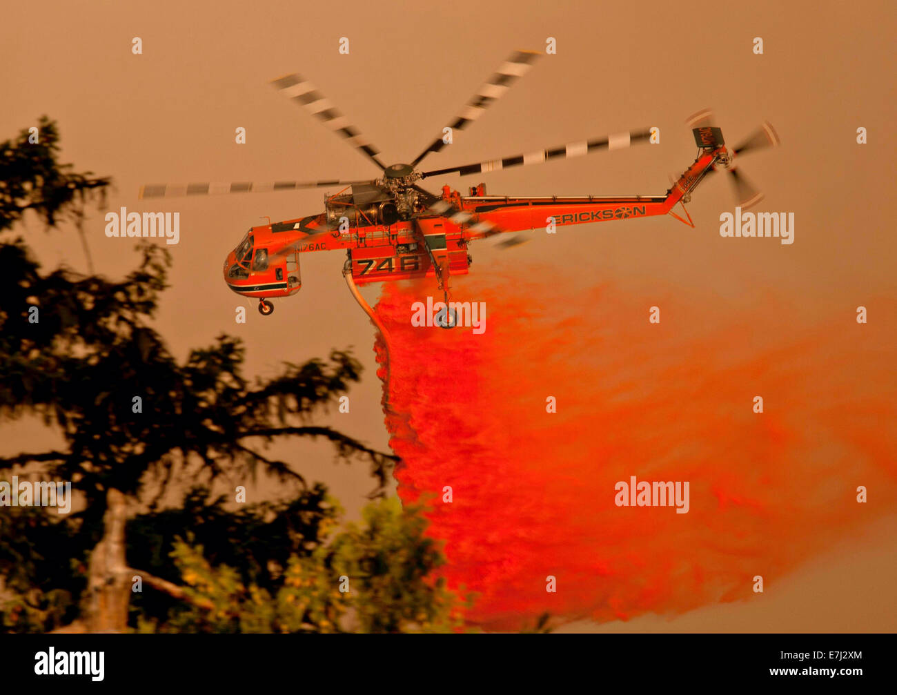 A S-64 Erickson Air-Crane helicopter drops fire retardant on the Happy Camp Complex Fire burning in the Klamath National Forest September 18, 2014 in Yreka, California. The fire has consumed 125,788 acres and is 68% contained. Stock Photo