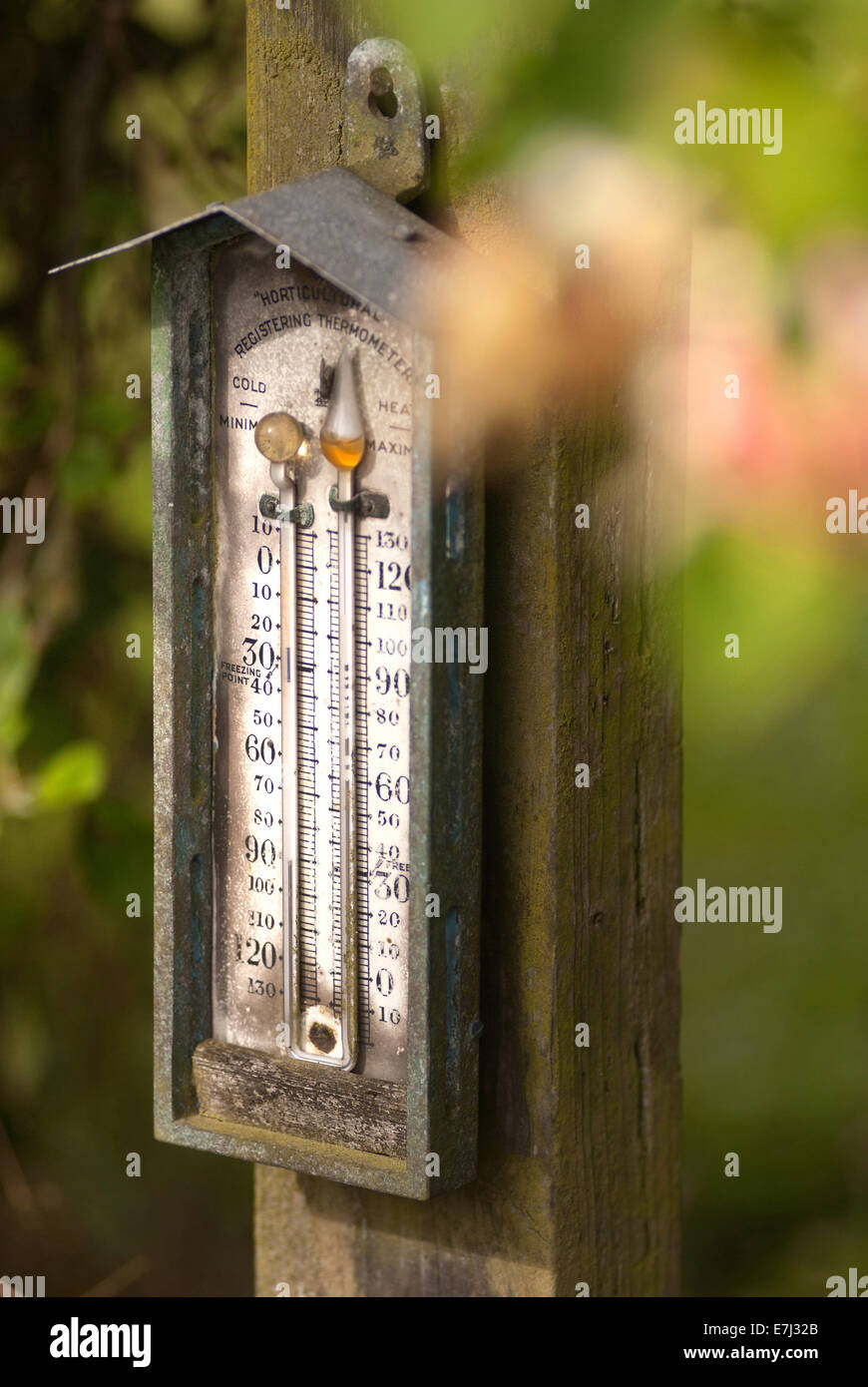 https://c8.alamy.com/comp/E7J32B/maximum-minimum-garden-thermometer-E7J32B.jpg