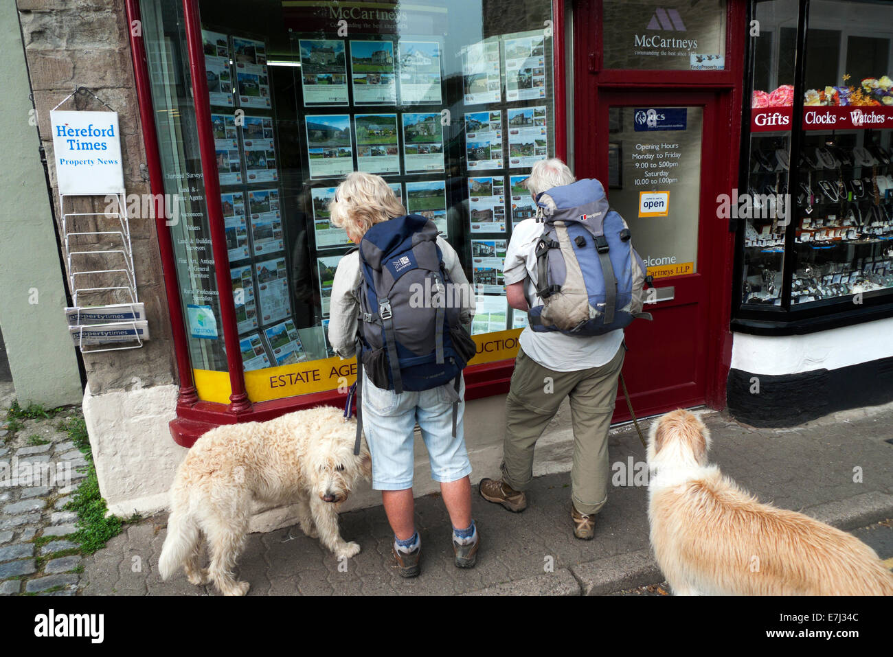 Rear back view of two older women seniors with backpacks and dogs looking in an estate agent window in Hay-on-Wye Wales UK  KATHY DEWITT Stock Photo