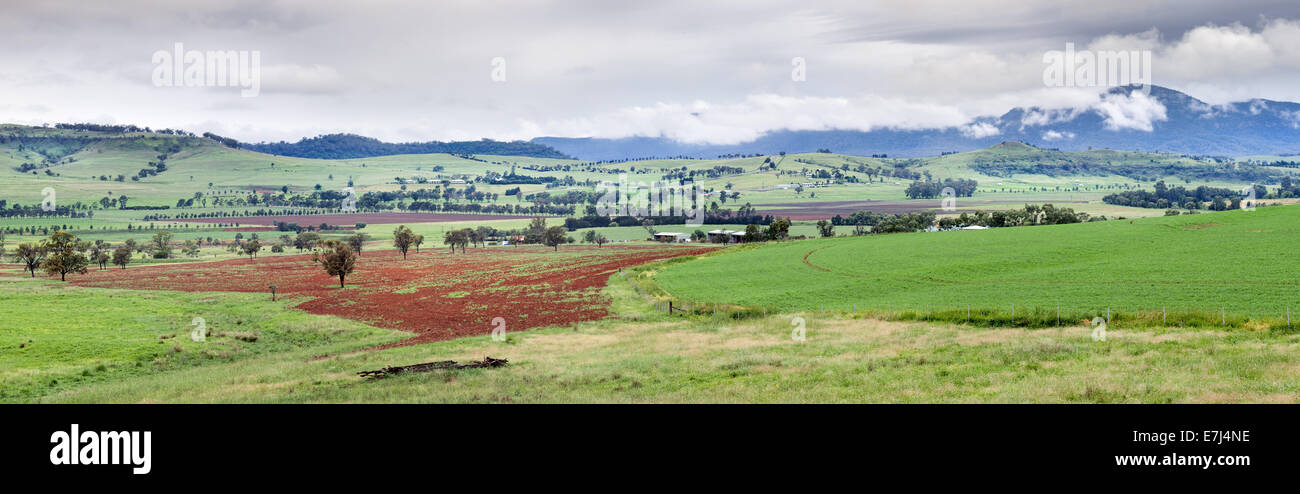 Panorama overlooking valley in Central NSW vicinity Mudgee Stock Photo