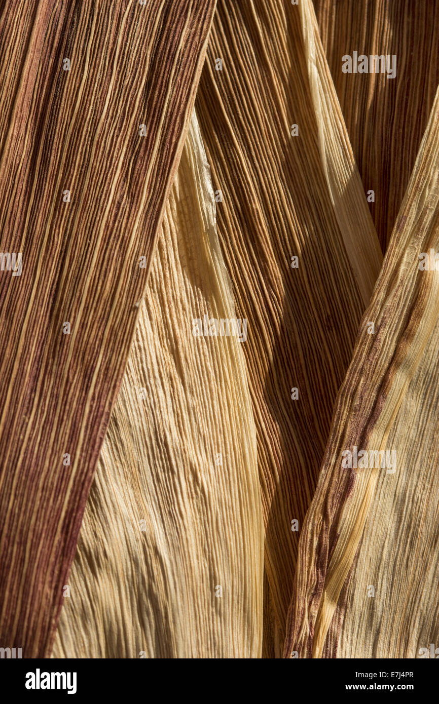 Corn husk hires stock photography and images Alamy