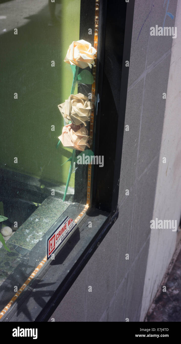 Roses window hi-res stock photography and images - Alamy