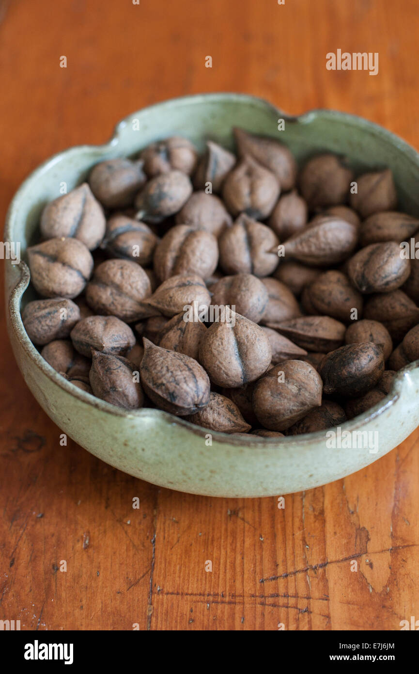Heart-shaped Japanese walnuts, or 'heartnuts' displayed in a Japanese bowl. Stock Photo