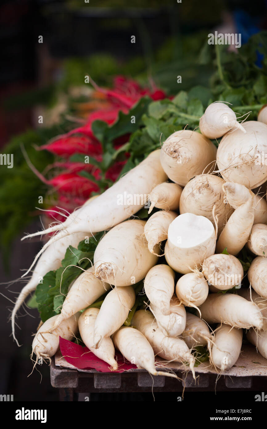 White radishes pile in a market. Vertical shot Stock Photo