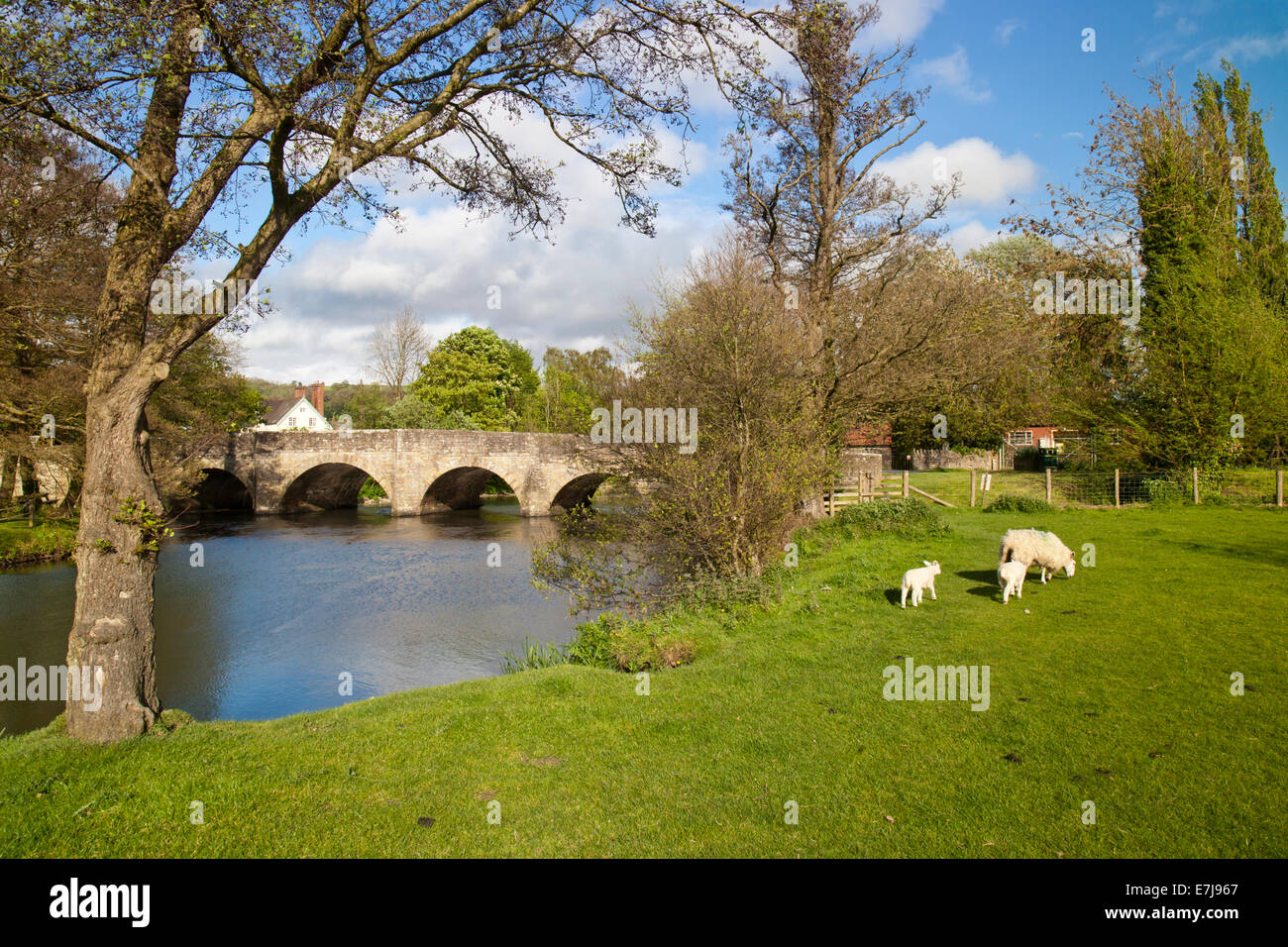 The historic bridge over the River Teme at Leintwardine in Herefordshire England UK Stock Photo