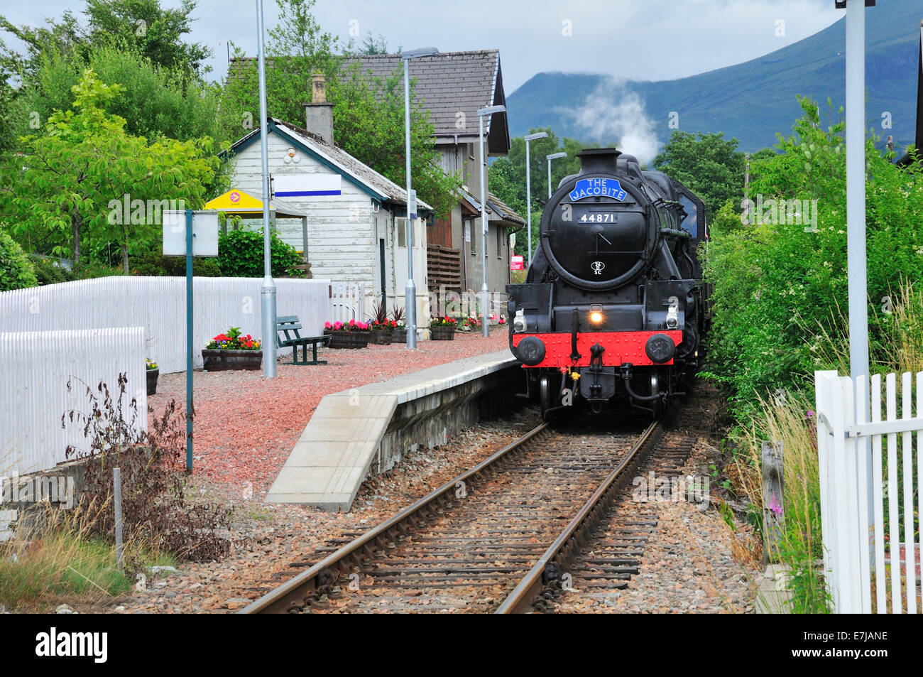 The Jacobite, steam train, in Glenfinnan station, Ross, Skye and Lochaber, Scottish Highlands, Scotland, United Kingdom Stock Photo