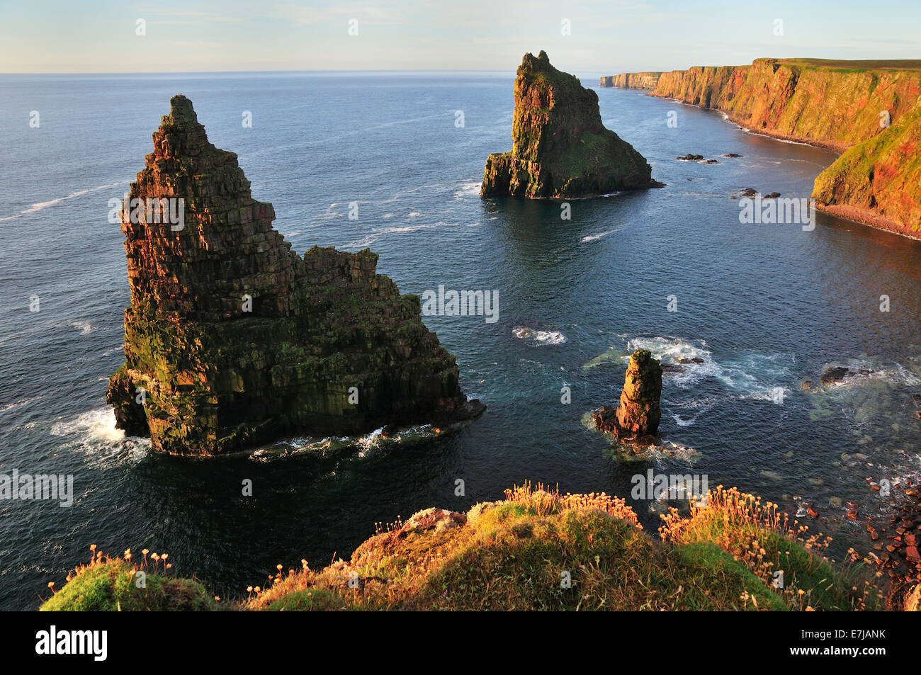 Duncansby Stacks pinnacles in the morning light, John o'Groats, Caithness, Sutherland and Easter Ross, Highlands, Scotland Stock Photo