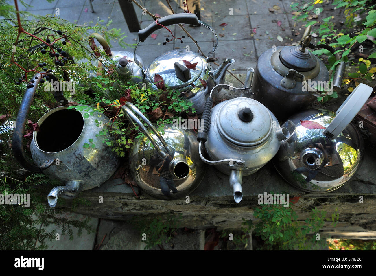 https://c8.alamy.com/comp/E7JB2C/old-teapots-on-a-wall-tea-room-collection-bad-hindelang-oberallgu-E7JB2C.jpg