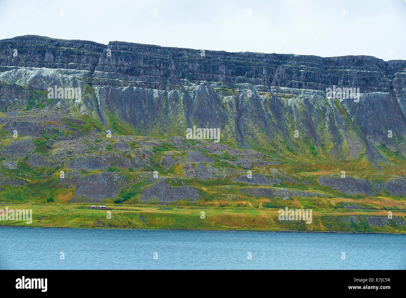 Mountains, cliff, Iceland, sea, scenery, landscape, Westfijord, meadow, Europe, holidays, travel, Stock Photo