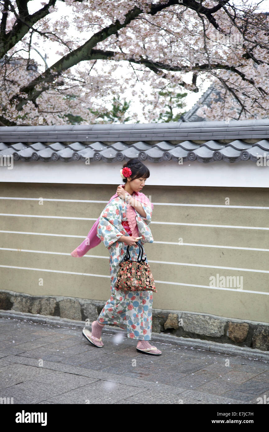 Japanese girl, traditional female beauty and dress, geisha walking in the city street, Gion area, Kyoto, Japan, Asia Stock Photo