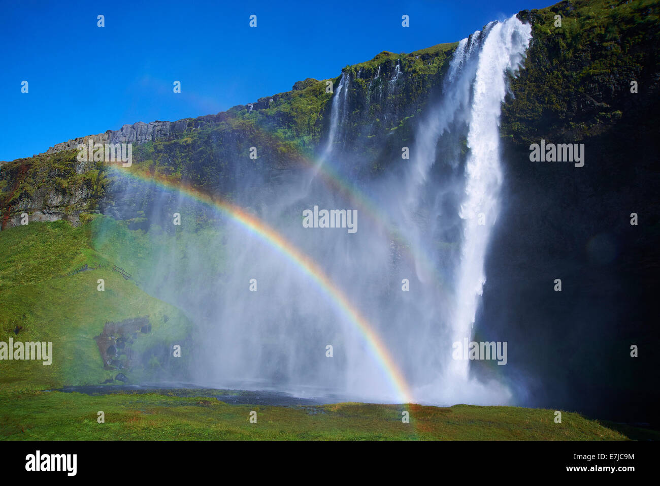 Rainbow grass hi-res stock photography and images - Alamy