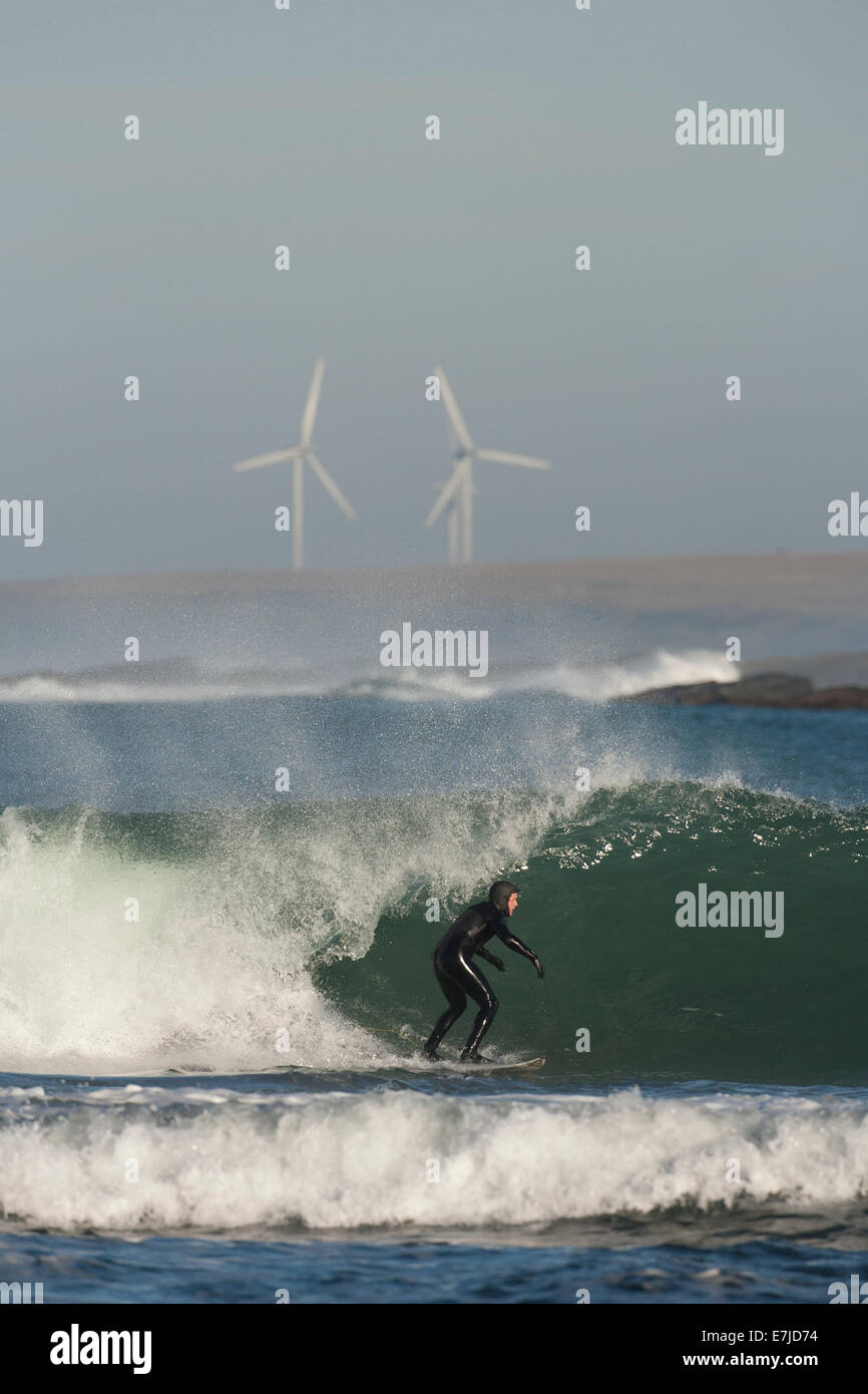 Surfer with wind turbines behind, Sandside Beach, Caithness, Scotland Stock Photo